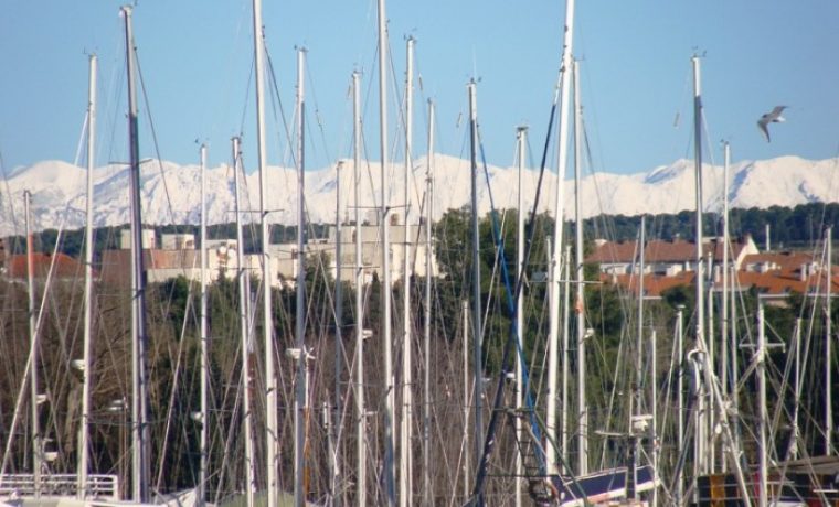 jarboli__snijeg_1262515660.JPG