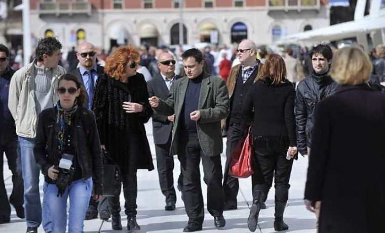jastreb_ahss2_100313_1362933625.jpg