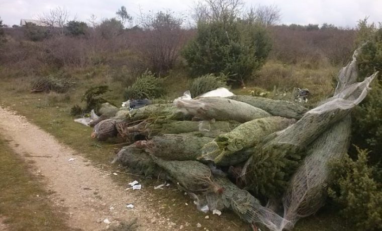 Foto: 057info