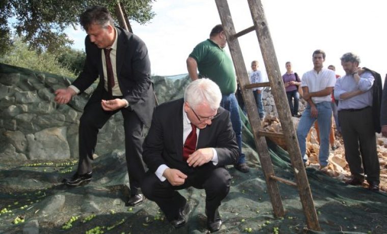 josipovic__masline_1286779130.jpg josipovic__masline_1286779130.jpg