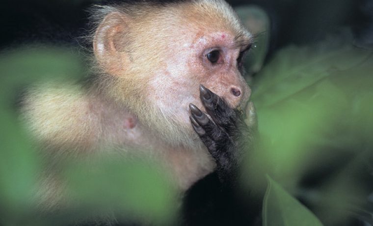 Foto: visionexpander.com
