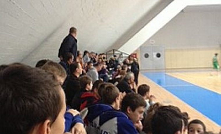 ko_arka_1353916492.jpg Foto: E.K.
