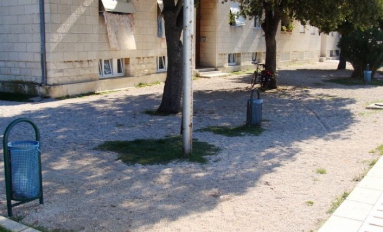 ko_evi__ku_a_1285147762.JPG
