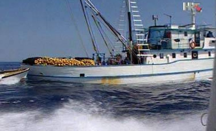 koca_1199357763.jpg Foto: HRT
