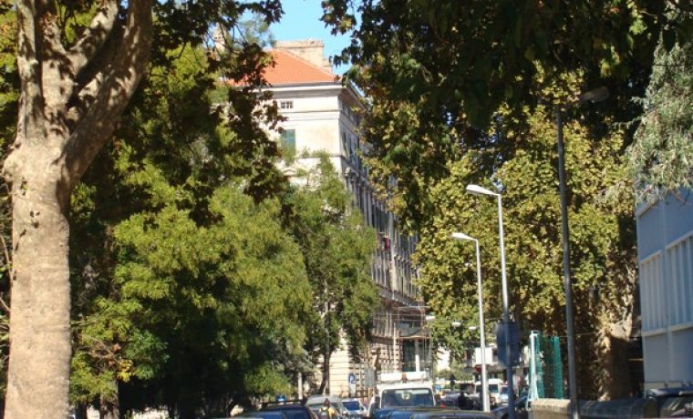 kolona__bo_kovi_a_1317725104.JPG kolona__bo_kovi_a_1317725104.JPG