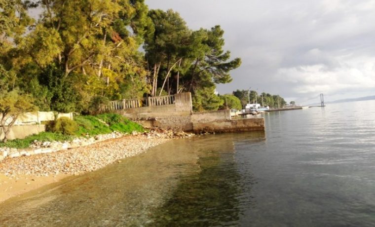 kolovare__pla_a_1510572179.jpg Foto: 057info