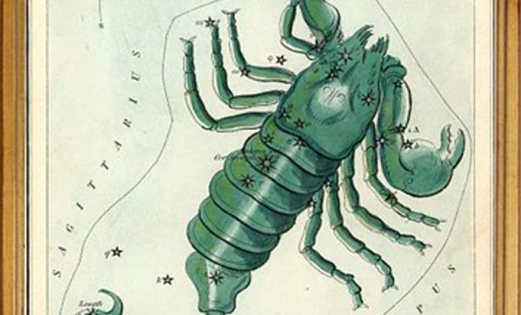 _korpion__zodiac_1350734870.jpg _korpion__zodiac_1350734870.jpg
