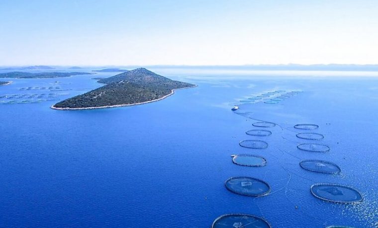 Foto: Cromaris