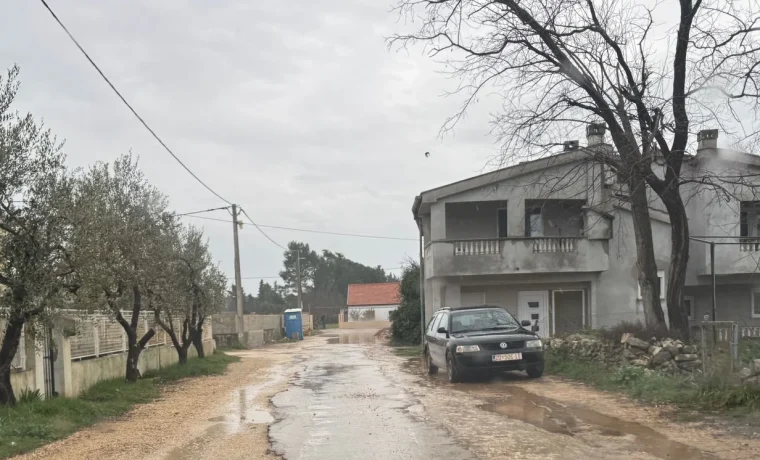 kožino, raskopano