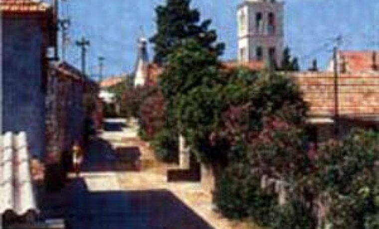 kozino1_1304665281.jpg