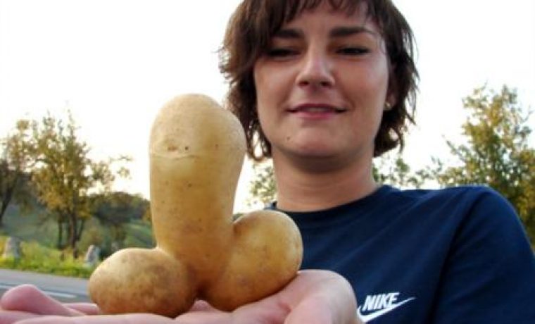 Foto: CROPIX