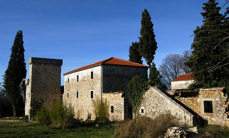 kula_stojana_jankovi_a_1330948997.JPG