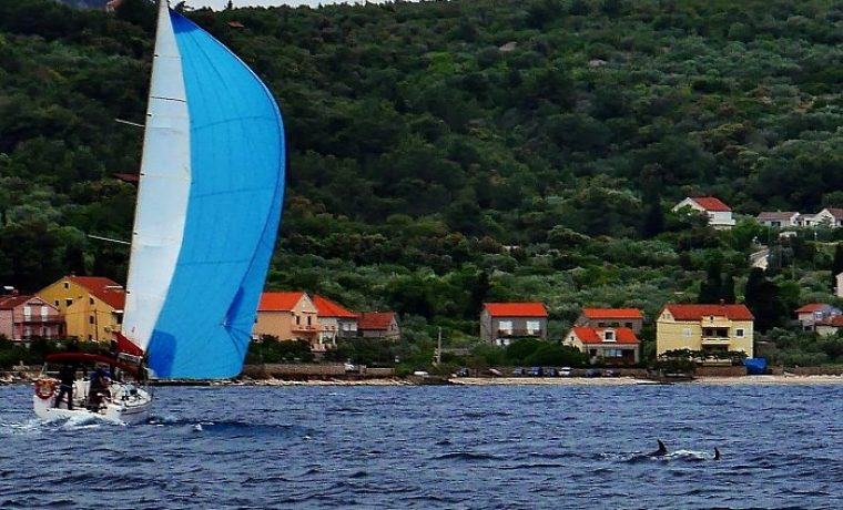 Foto: Leonard Kvarantan