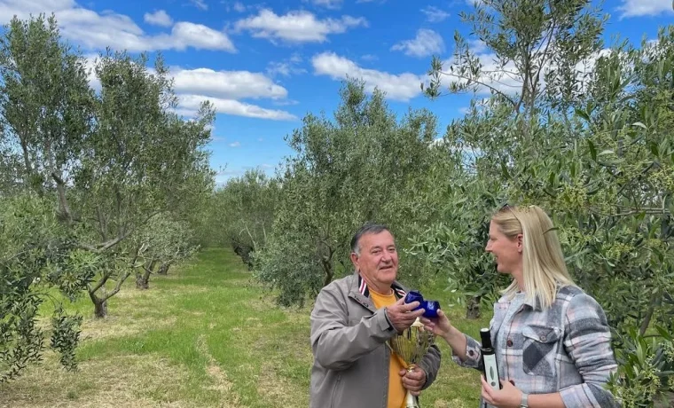 lalin, pakoštane, maslinovo ulje, maslina
