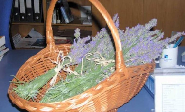 Foto: www.057info.hr (af)