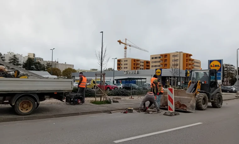 lidl, murvička