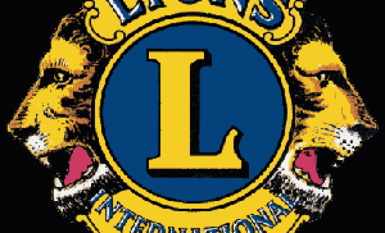 lions_logo_1228808286.gif Foto: winow