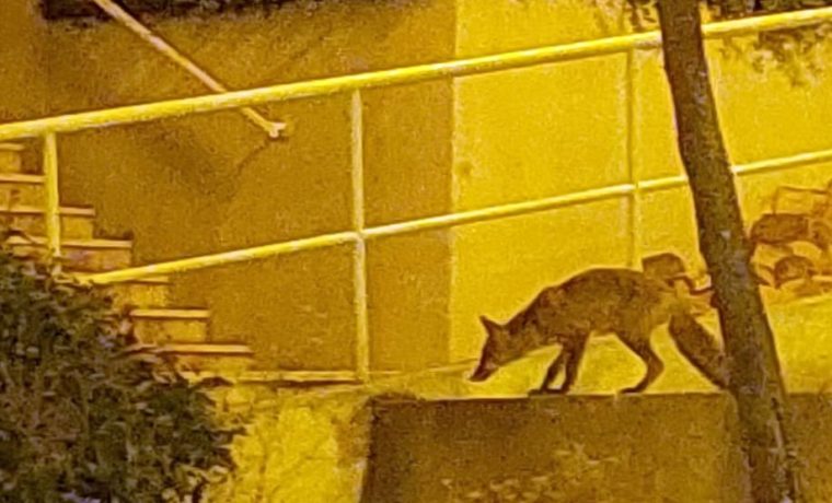 Foto: Čitatelj