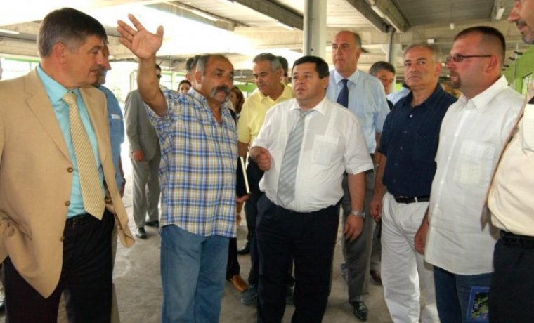lon_ar__veletr_nica_1288941103.JPG
