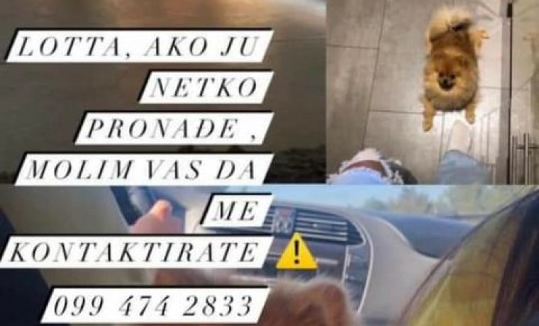 lotta_1621443580.jpg
