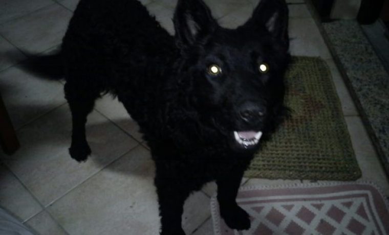 luna_1379055885.jpg Foto: 057info