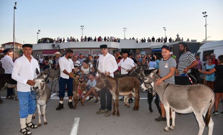 magarci Foto: TZ Sukošan (arhiva)