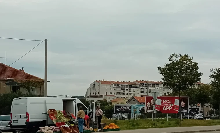mandarine, prodaja, bili brig