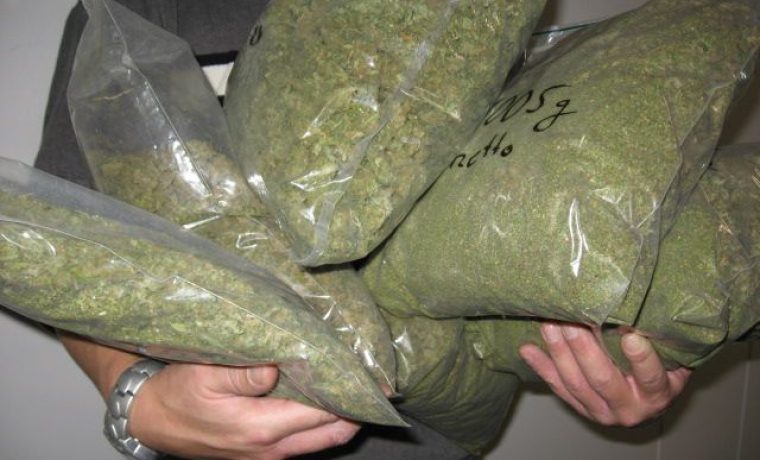 marihuana_1289997592.jpg