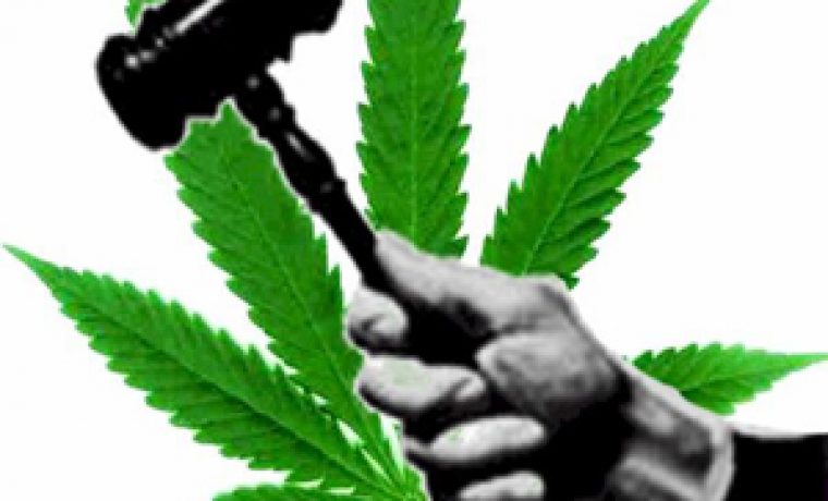 marihuana_1329466646.jpg