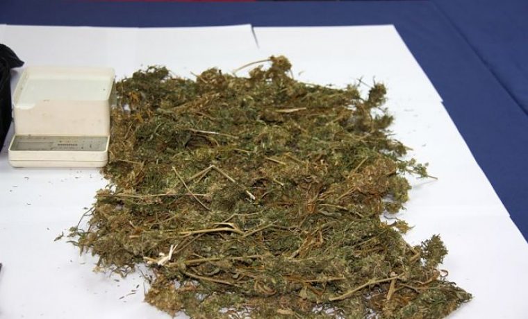 marihuana_1352455761.jpg Foto: Arhiva