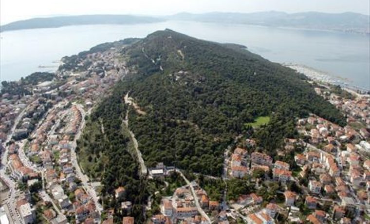 marjan_1346139852.jpg marjan_1346139852.jpg