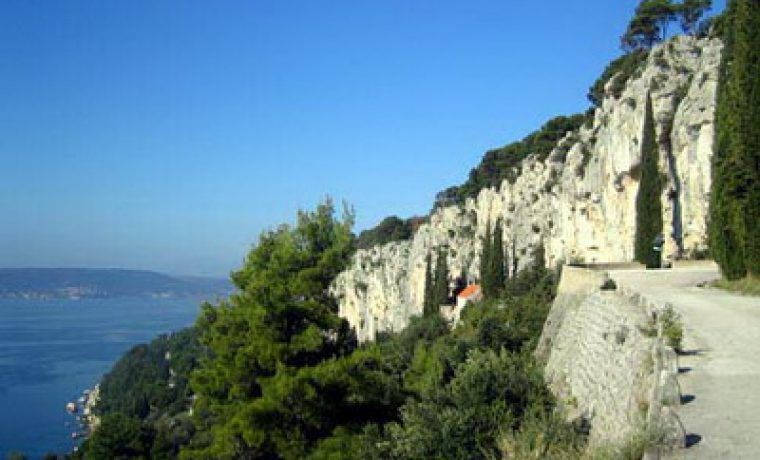 marjan_resize_1346139871.jpg marjan_resize_1346139871.jpg
