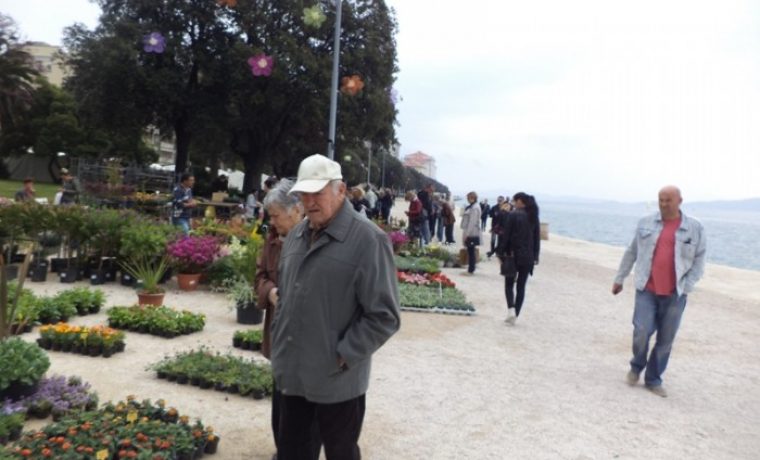 maru_i__1429357391.JPG Foto: 057info