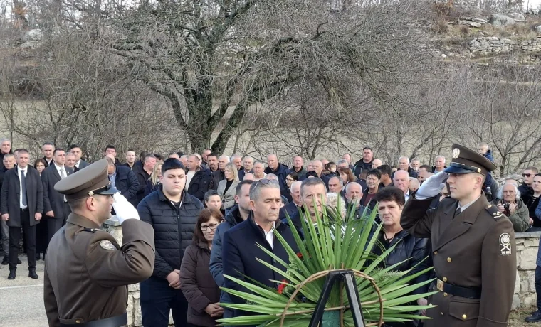 medviđa, erstić