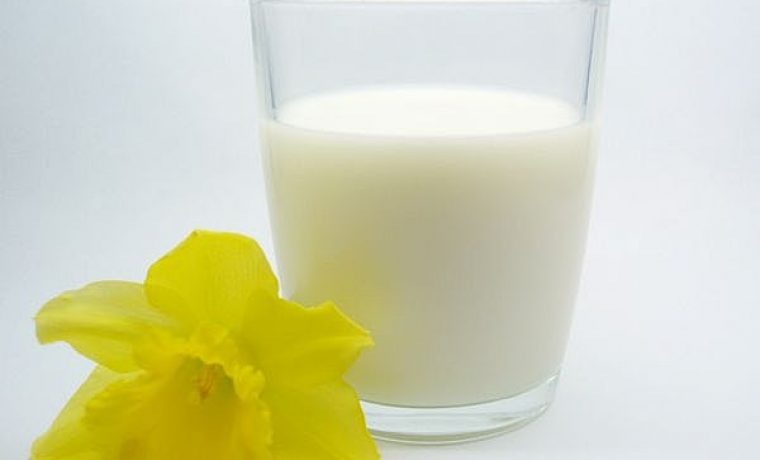 milk_Full_1237618855.jpg milk_Full_1237618855.jpg