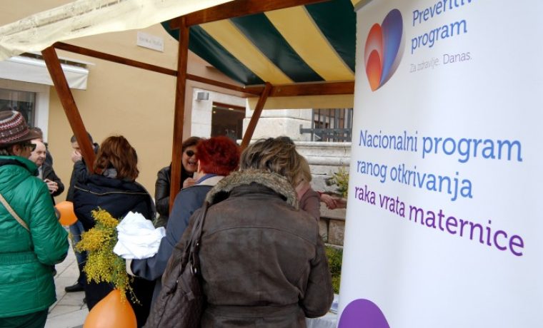 mimoza_1390042988.JPG Foto: 057 info