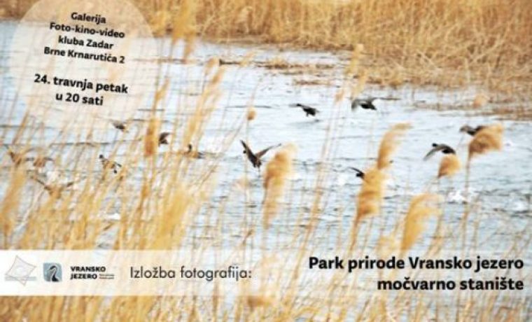 mo_vara_1429773542.jpg Foto: PR foto