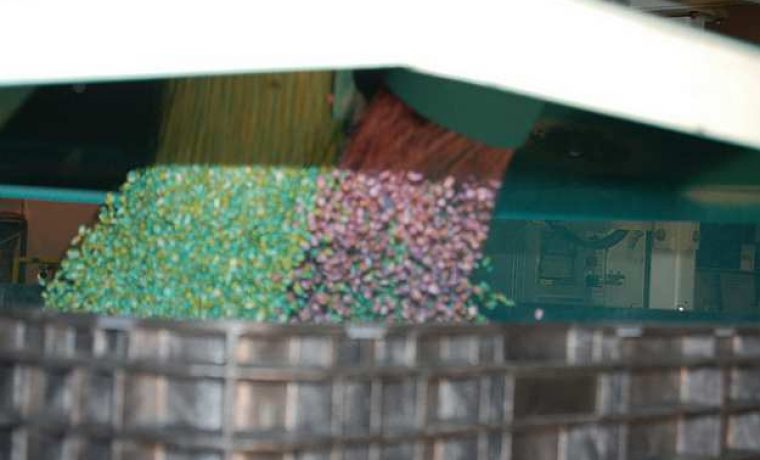 monstanokukuru_1376819858.jpg Foto: monsanto.com