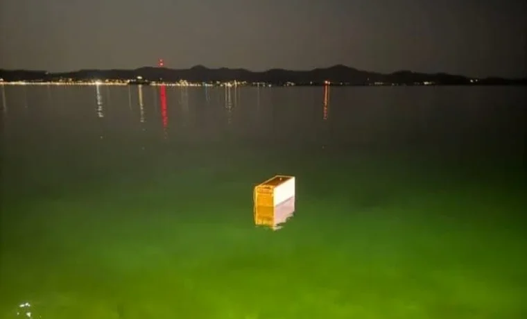 more, noćna, kanal, frižider