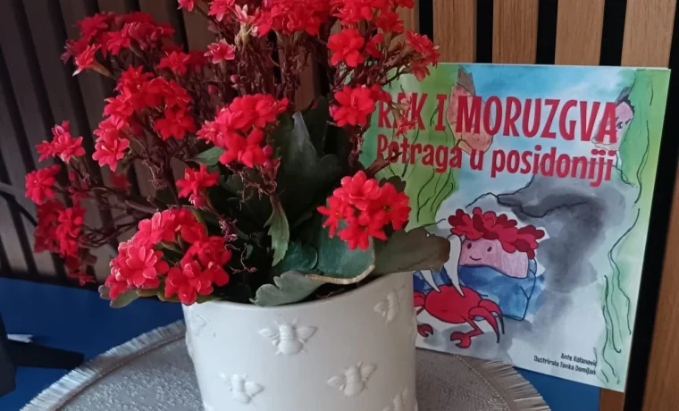 moruzgva