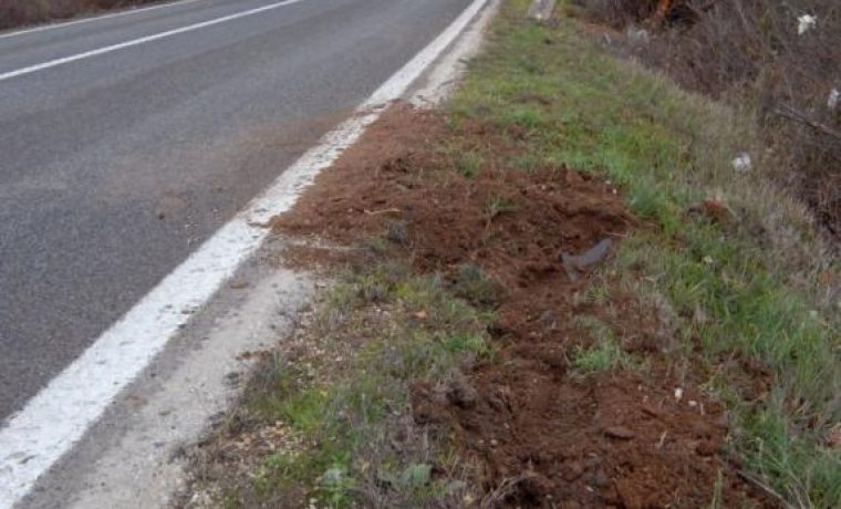 Foto: Zadarski list