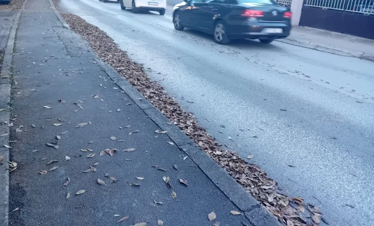 murvićka, lišće
