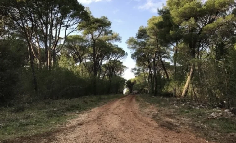 musapstan