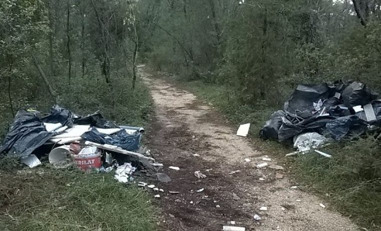Foto: Branko Božić