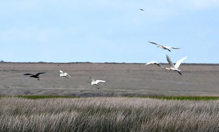 Foto: Natura Jadera