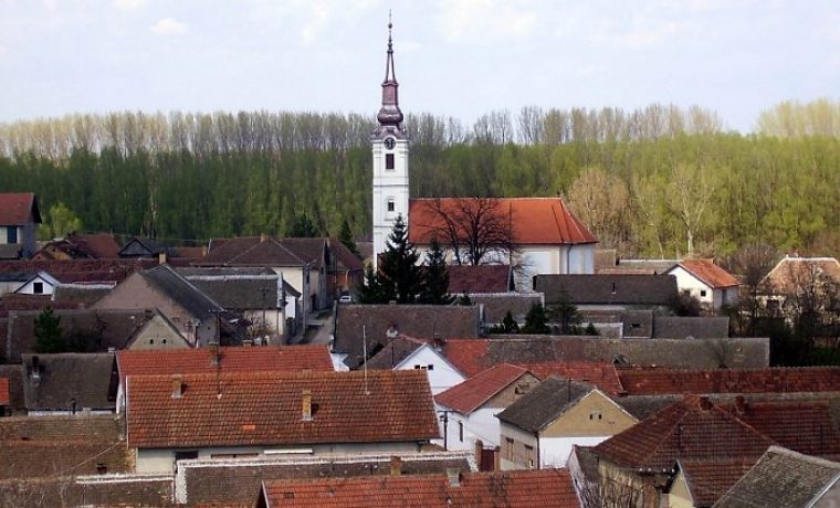 nestinn_1296979072.JPG