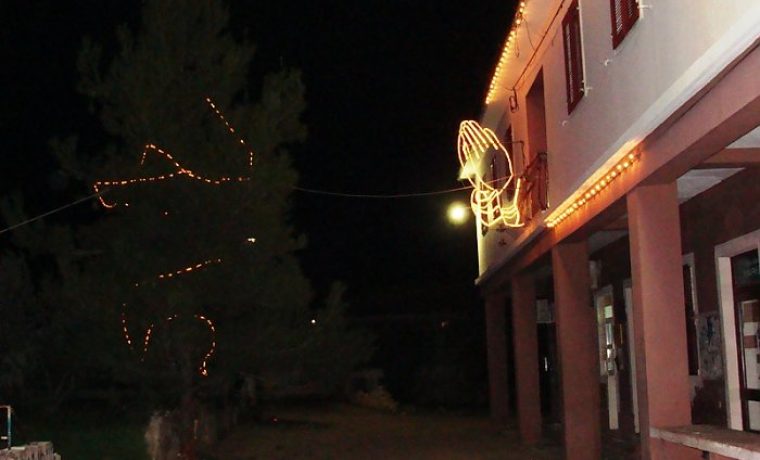 nevi_ane_1325835196.JPG nevi_ane_1325835196.JPG
