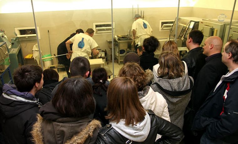 noc_muzeja_2_1264797031.jpg Foto: Luka Gerlanc