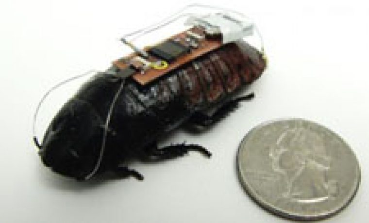 Foto: biologija.com.hr