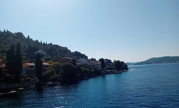 ošljak, ošljak,